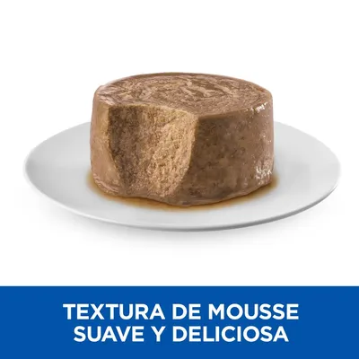 Comida húmeda para mascotas en forma de mousse sobre plato blanco. Texto visible: textura de mousse suave y deliciosa.