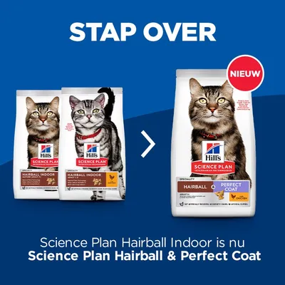 Hill's Science Plan Hairball Indoor kattenvoer verandert naar Science Plan Hairball & Perfect Coat. Verpakking met kat en tekst: NIEUW, Hairball & Perfect Coat, kip.