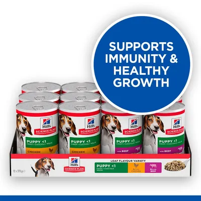 Hill's Science Plan Puppy <1 Loaf Flavour Variety 12×370 g konzerv, csirke és marha ízben. Felirat: Supports immunity & healthy growth.