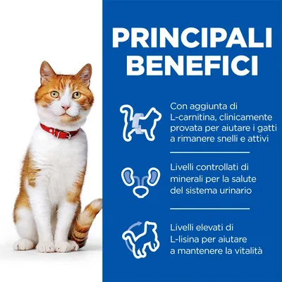 PRINCIPALI BENEFICI: aggiunta di L-carnitina per aiutare i gatti a rimanere snelli e attivi, livelli controllati di minerali per la salute urinaria, elevata L-lisina per la vitalità.