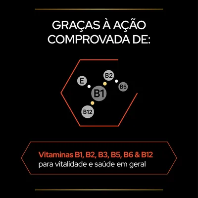 Vitaminas B1, B2, B3, B5, B6, B12 e E para vitalidade e saúde em geral. Texto: 'Graças à ação comprovada de: Vitaminas B1, B2, B3, B5, B6 & B12 para vitalidade e saúde em geral'.