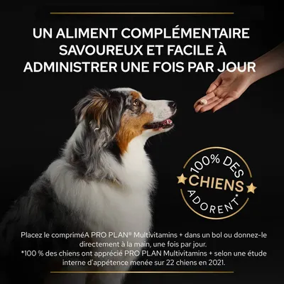 Un aliment complémentaire savoureux et facile à administrer une fois par jour. 100 % des chiens adorent. Placez le comprimé PRO PLAN Multivitamins+ dans un bol ou donnez-le à la main.