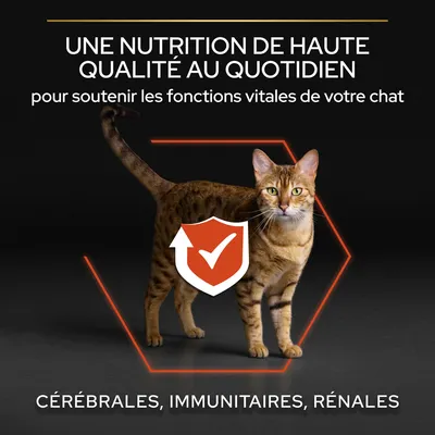 Texte : Une nutrition de haute qualité au quotidien pour soutenir les fonctions vitales de votre chat. Cérébrales, immunitaires, rénales.