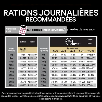 Tableau des rations journalières recommandées pour chiens selon poids et âge, gestation, lactation et croissance. Indications en grammes/jour et ad libitum. Calculateur de ration personnalisée mentionné.