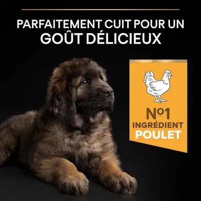 Parfaitement cuit pour un goût délicieux. N°1 ingrédient poulet.