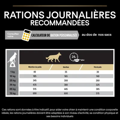 Tableau des rations journalières recommandées pour chiens selon poids : maintien du poids, stérilisé, perte de poids. Exemple : 10 kg – 185 g, 165 g, 140 g. Calculateur de ration personnalisée mentionné.