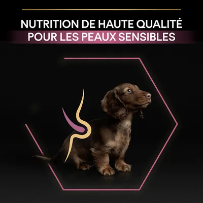 NUTRITION DE HAUTE QUALITÉ POUR LES PEAUX SENSIBLES, texte visible au-dessus d’un chiot marron assis sur fond noir avec un motif graphique sur le corps.