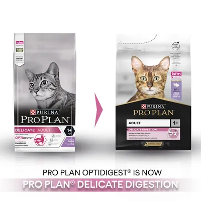 Purina Pro Plan Delicate Adult cat food packaging changing to Purina Pro Plan Adult 1+ Delicate Digestion. Text: PRO PLAN OPTIDIGEST is now PRO PLAN DELICATE DIGESTION.