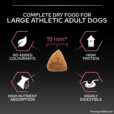 Texte en anglais : Complete dry food for large athletic adult dogs, 19 mm, no added colourants, high protein, high nutrient absorption, highly digestible. Croquette triangulaire visible.