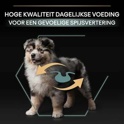 Hoge kwaliteit dagelijkse voeding voor een gevoelige spijsvertering