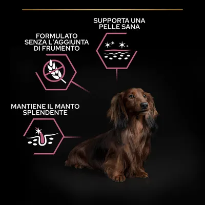 Formulato senza l'aggiunta di frumento, supporta una pelle sana, mantiene il manto splendente. Immagine di cane a pelo lungo con icone illustrative.