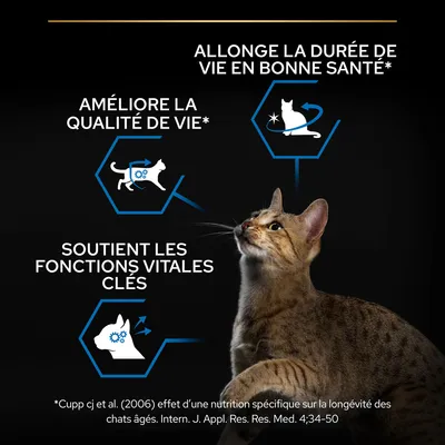 Allonge la durée de vie en bonne santé, améliore la qualité de vie, soutient les fonctions vitales clés. Référence : Cupp cj et al. (2006) sur nutrition et longévité des chats âgés.