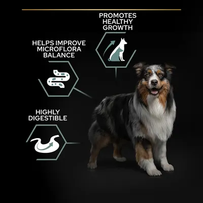 Tekst na engleskom: Promotes healthy growth, Helps improve microflora balance, Highly digestible. Prikaz psa s grafičkim prikazima crijeva i rasta.