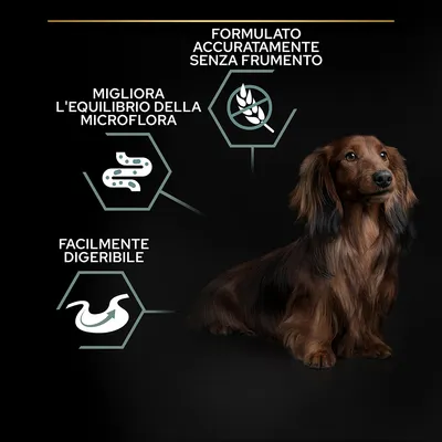 Testi visibili: 'Formulato accuratamente senza frumento', 'Migliora l'equilibrio della microflora', 'Facilmente digeribile' con icone e cane a pelo lungo seduto.