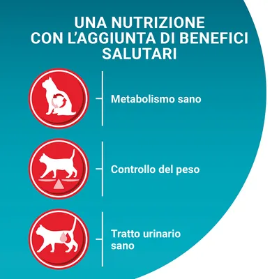 Una nutrizione con l'aggiunta di benefici salutari: metabolismo sano, controllo del peso, tratto urinario sano.