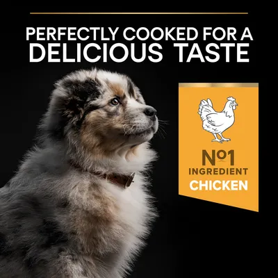 Teksti englanniksi: Perfectly cooked for a delicious taste. Keltainen laatikko: piirroskanan kuva, No1 ingredient chicken.