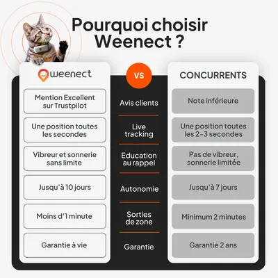 Tableau comparatif : Weenect avec note Trustpilot, localisation toutes les secondes, mode vibration et sonnerie illimités, jusqu'à 10 jours, moins d'1 minute, garantie à vie. Tableau comparatif : Weenect avec note Trustpilot, localisation toutes les secondes, mode vibration et sonnerie illimités, jusqu'à 10 jours, moins d'1 minute, garantie à vie.