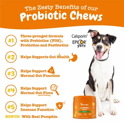 Text v angličtine: The Zesty Benefits of our Probiotic Chews. Päť benefitov, vrátane podpory trávenia a imunity. Značky Calsporin, Epicor pets, Zesty Paws. Bonus: With Real Pumpkin.