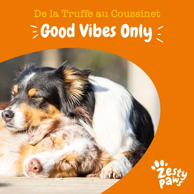 De la Truffe au Coussinet, Good Vibes Only, Zesty Paws. Texte en français et anglais sur fond orange avec deux chiens allongés.
