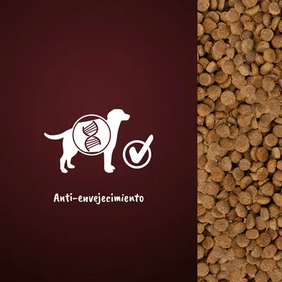 Texto visible: Anti-envejecimiento, con icono de perro, ADN y marca de verificación junto a croquetas de pienso marrón.
