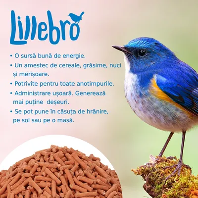 Lillebro. O sursă bună de energie. Un amestec de cereale, grăsime, nuci și merișoare. Potrivite pentru toate anotimpurile. Administrare ușoară. Se pot pune în căsuță, pe sol sau masă.