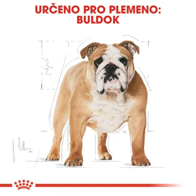 Text: URČENO PRO PLEMENO: BULDOK. Ilustrace buldoka na bílém pozadí.