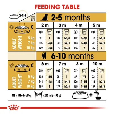 Feeding table for dogs by adult weight and age: 2–5 months and 6–10 months, with daily grams and cup measures for 5 kg, 7 kg, 10 kg. 1 cup = 240 ml (≈93 g). ME = 3996 kcal/kg.