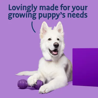 Text reads: Lovingly made for your growing puppy’s needs. Image shows a white puppy with a purple toy on a purple background.