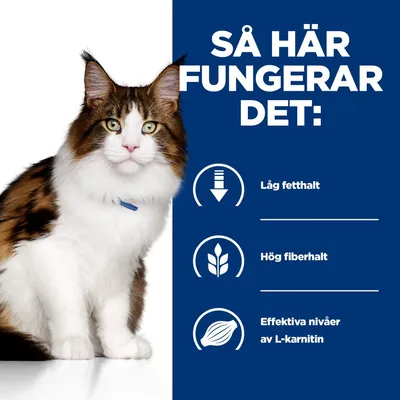 Så här fungerar det: Låg fetthalt, hög fiberhalt, effektiva nivåer av L-karnitin. Bild på katt till vänster om text och ikoner.