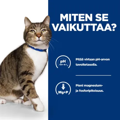 MITEN SE VAIKUTTAA? Pitää virtsan pH-arvon tavoitetasolla (pH 5,9–6,1). Pieni magnesium- ja fosforipitoisuus. Kuvassa kissa sinisellä kaulapannalla.