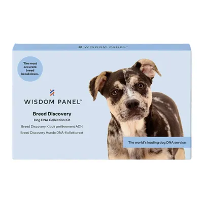 Wisdom Panel Breed Discovery Dog DNA Collection Kit. The most accurate breed breakdown. The world's leading dog DNA service.