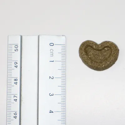 Heart-shaped treat next to a ruler with centimetre scale for size determination.