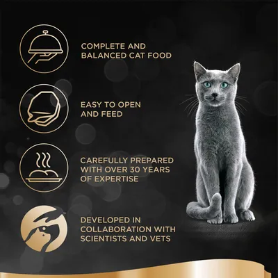 Teksti englanniksi: Complete and balanced cat food, easy to open and feed, carefully prepared with over 30 years of expertise, developed in collaboration with scientists and vets.