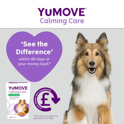 YuMOVE Calming Care for Adult Dogs