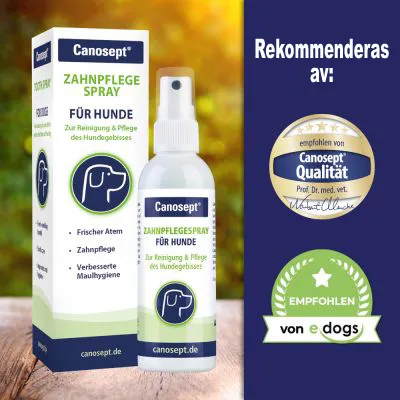 Canosept Zahnpflegespray für Hunde, synlig text: Frischer Atem, Zahnpflege, Verbesserte Maulhygiene. Rekommenderas av Canosept Qualität och von edogs enligt märkning på bilden.