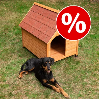 Caseta de madera para perro con tejado rojo y símbolo de porcentaje en círculo rojo, indicando oferta o descuento visible.