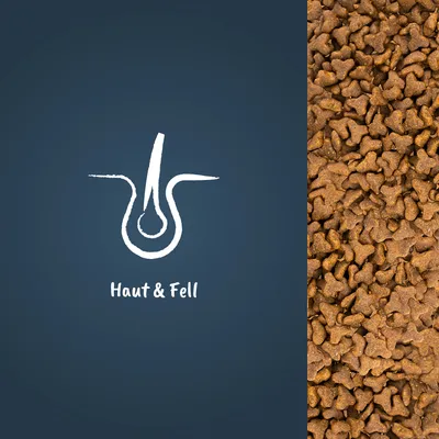 Symbol für Haut und Fell neben einer Nahaufnahme von braunem Trockenfutter.