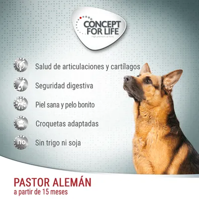 Concept for Life. Salud de articulaciones y cartílagos, seguridad digestiva, piel sana y pelo bonito, croquetas adaptadas, sin trigo ni soja. Pastor Alemán a partir de 15 meses.