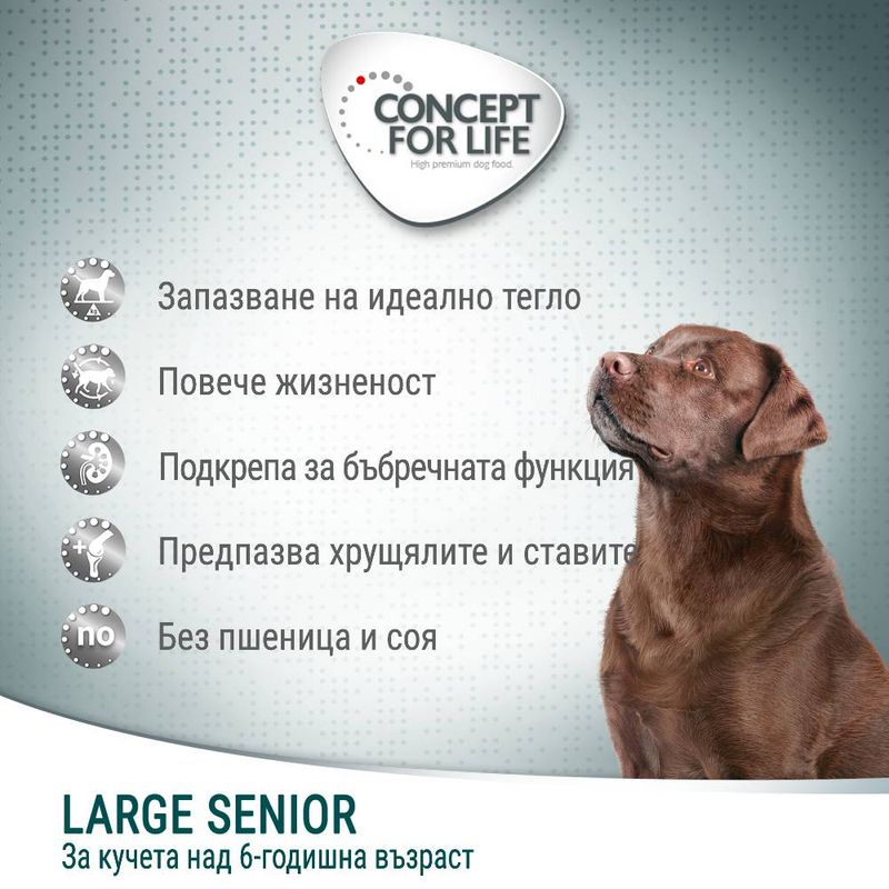 Concept for Life Large Senior