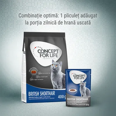 Concept for Life British Shorthair, hrană uscată 400 g și plic umed 85 g pentru pisici adulte. Text: Combinație optimă: 1 pliculeț adăugat la porția zilnică de hrană uscată.
