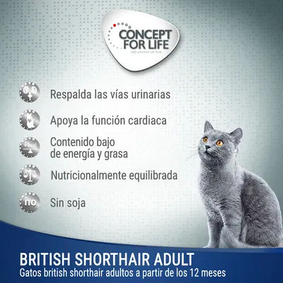 Concept for Life British Shorthair Adult. Respalda las vías urinarias, apoya la función cardiaca, bajo en energía y grasa, nutricionalmente equilibrada, sin soja. Para gatos adultos.