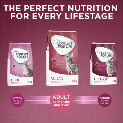 Concept for Life cat food range for kitten up to 12 months, adult 12 months and over, and senior 10 years and over. Image shows three product packs for each life stage.