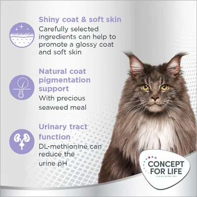 Concept for Life Beauty Adult - с подобрена рецепта!