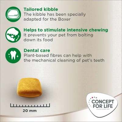 Concept for Life Boxer Adult