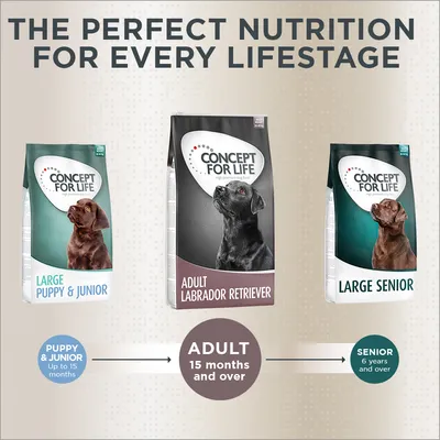 Concept for Life dog food range: Large Puppy & Junior up to 15 months, Adult Labrador Retriever 15 months and over, Large Senior 6 years and over. Text: The perfect nutrition for every lifestage.