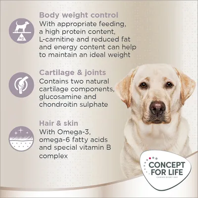 Body weight control with high protein, L-carnitine, reduced fat and energy; cartilage and joints with glucosamine and chondroitin sulphate; hair and skin with Omega-3, Omega-6, vitamin B complex.