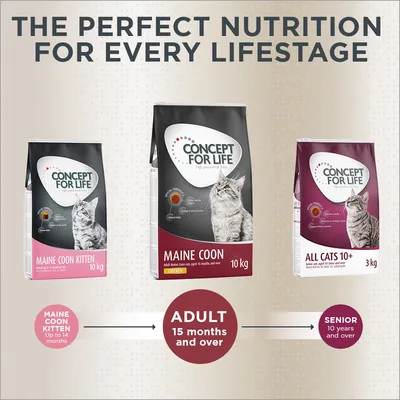 Concept for Life Maine Coon Adult суха храна