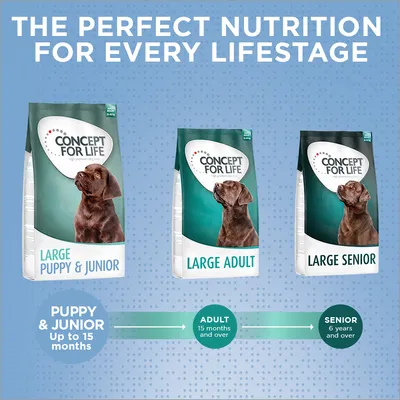 Tri pakiranja Concept for Life hrane za pse: Large Puppy & Junior, Large Adult i Large Senior. Prikazana dobna preporuka: do 15 mjeseci, od 15 mjeseci, od 6 godina.