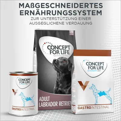 Concept for Life Gastrointestinal. Massgeschneidertes Ernährungssystem zur Unterstützung einer ausgeglichenen Verdauung. Adult Labrador Retriever, Veterinary Diet Nass- und Trockenfutter.