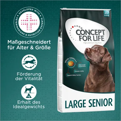 Concept for Life Large Senior